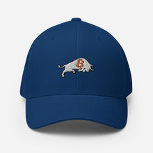 Load image into Gallery viewer, Bitcoin Bull Baseball Cap