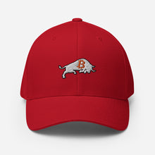 Load image into Gallery viewer, Bitcoin Bull Baseball Cap
